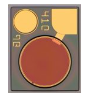 2.5 Гб/с чипы серии PD0xj1